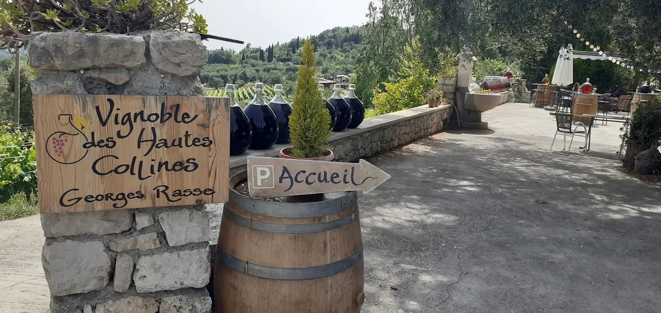 Espace extérieur arboré du domaine