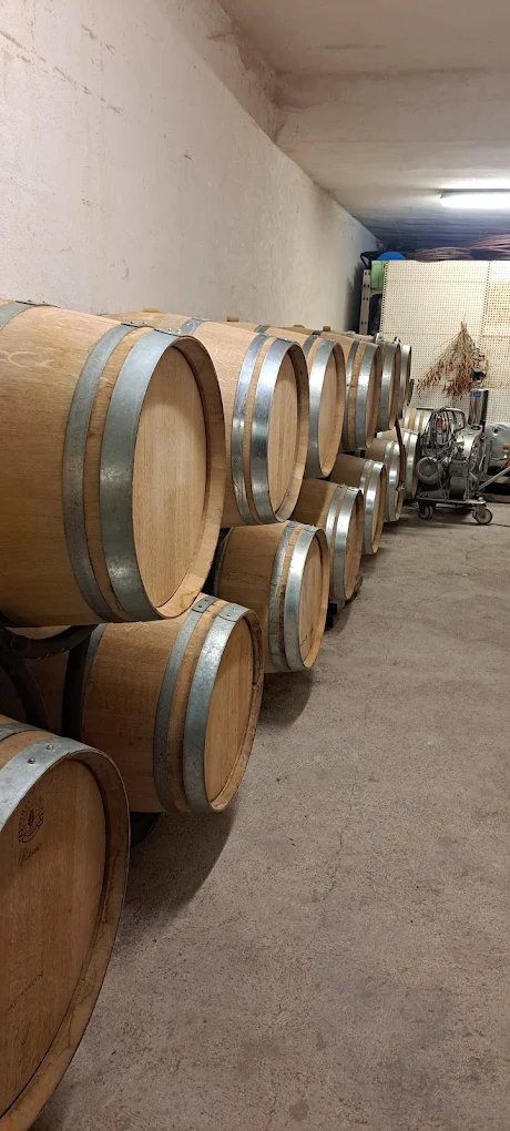 Cave voûtée du Domaine des Hautes Collines