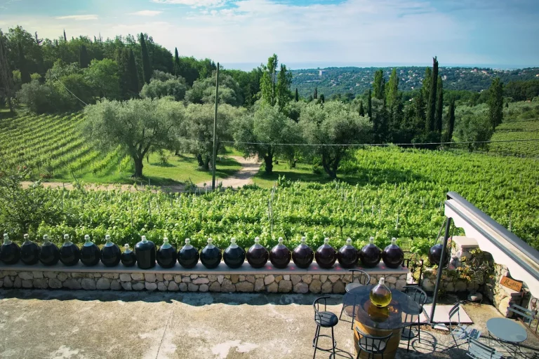 domaine Viticole des hautes collines St Jeannet