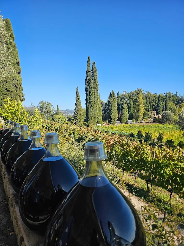 Jarres de vins en élevage